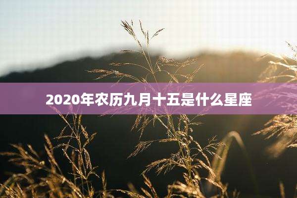 2020年农历九月十五是什么星座