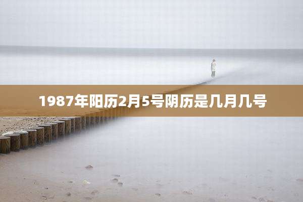1987年阳历2月5号阴历是几月几号