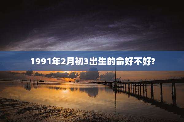 1991年2月初3出生的命好不好?