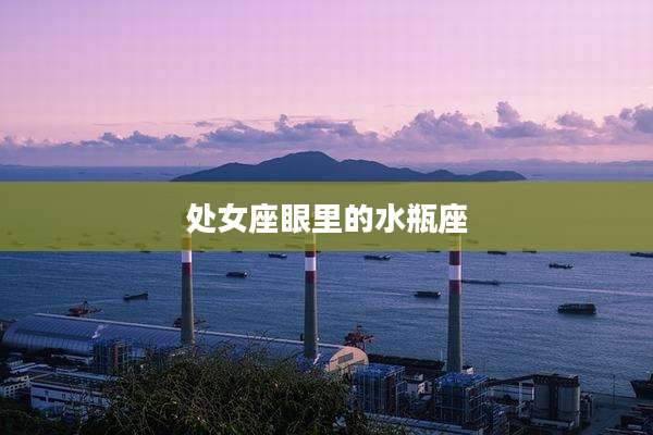 处女座眼里的水瓶座