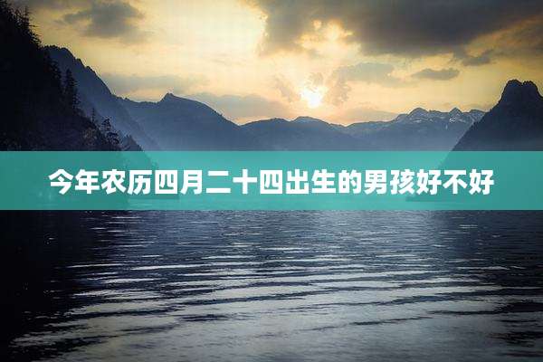 今年农历四月二十四出生的男孩好不好