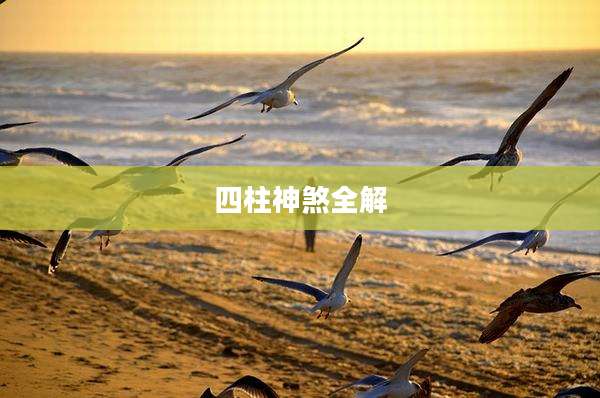 四柱神煞全解
