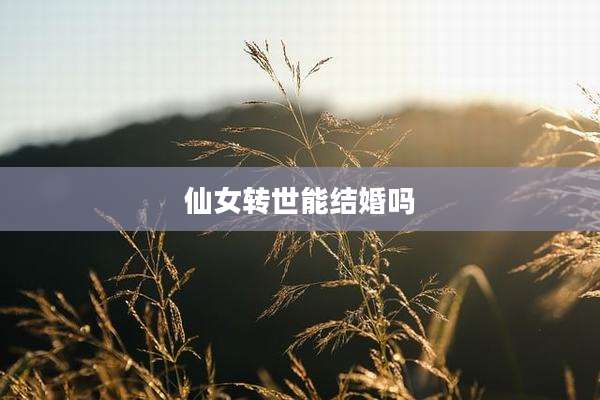 仙女转世能结婚吗