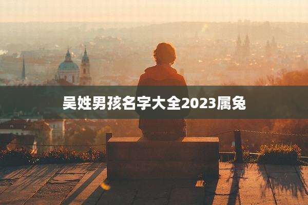 吴姓男孩名字大全2023属兔