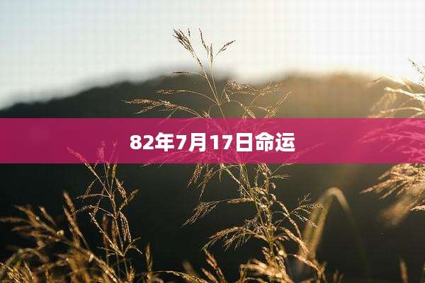 82年7月17日命运