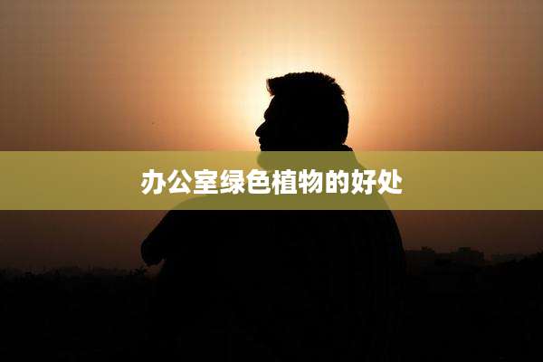 办公室绿色植物的好处