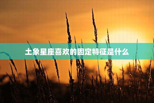 土象星座喜欢的固定特征是什么