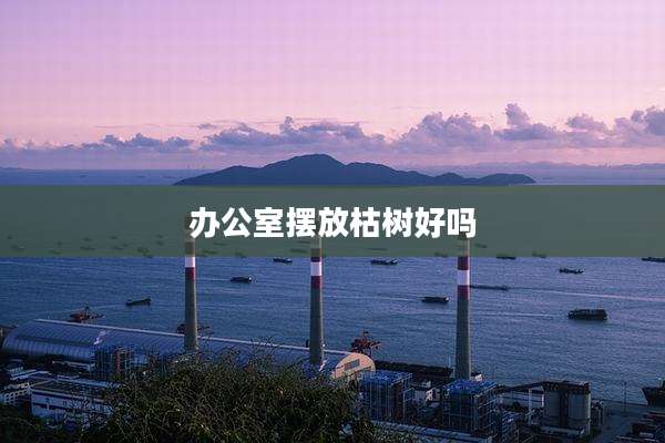 办公室摆放枯树好吗