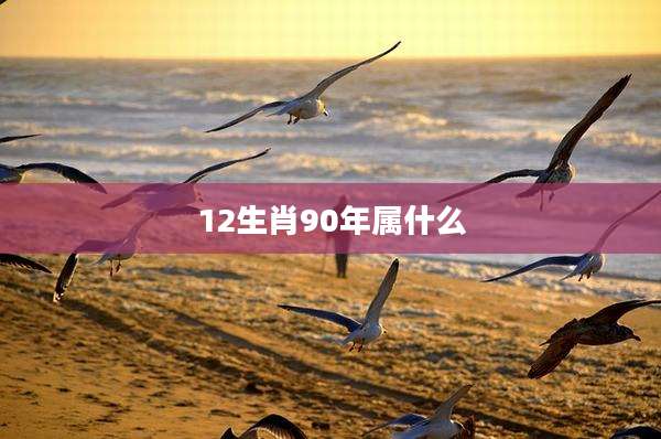 12生肖90年属什么