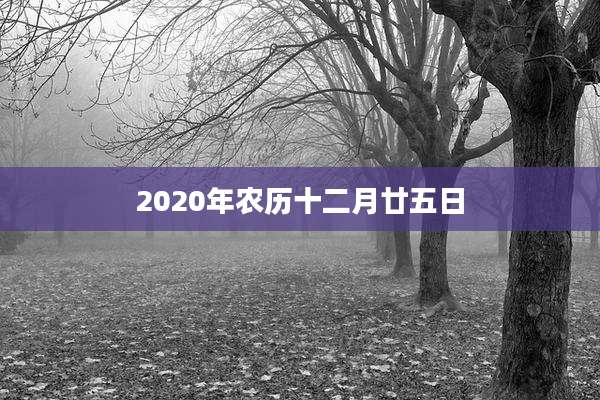 2020年农历十二月廿五日