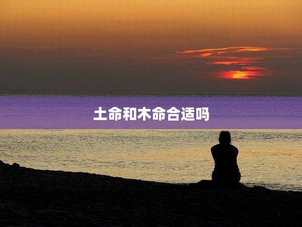 土命和木命合适吗