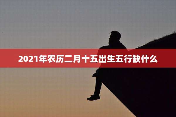 2021年农历二月十五出生五行缺什么