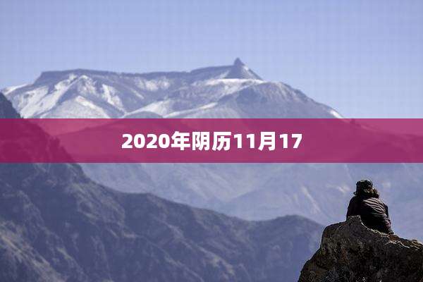2020年阴历11月17