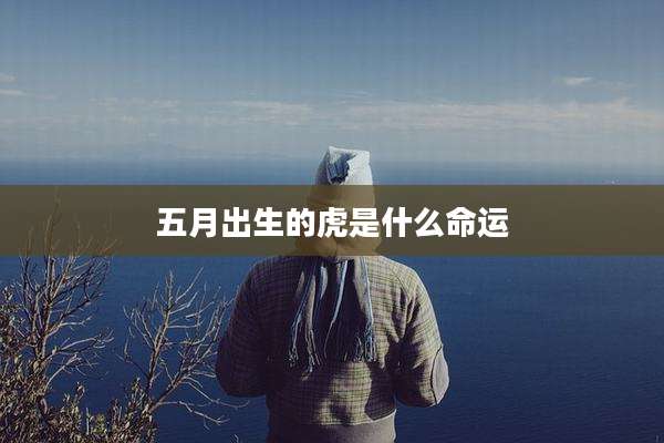 五月出生的虎是什么命运