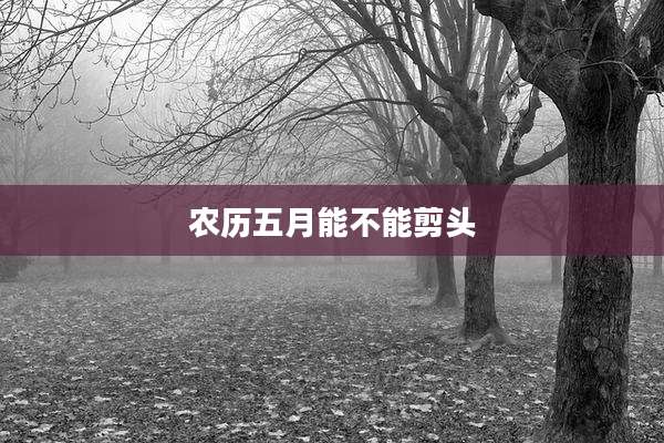 农历五月能不能剪头