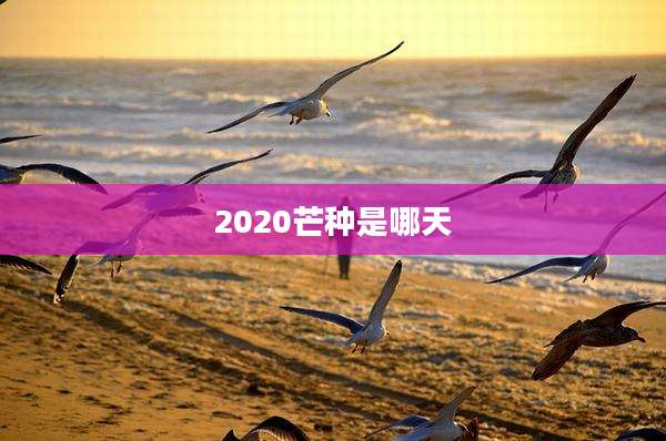 2020芒种是哪天