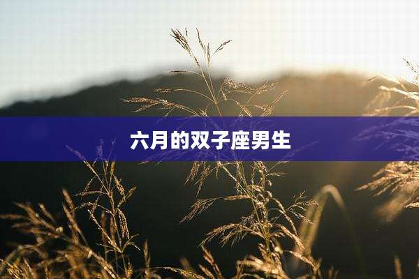六月的双子座男生