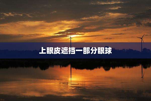 上眼皮遮挡一部分眼球