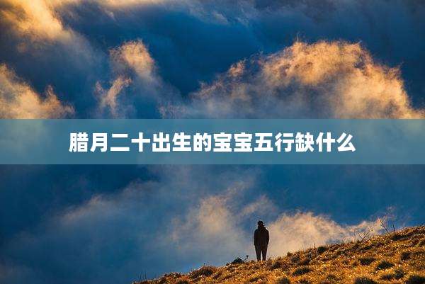 腊月二十出生的宝宝五行缺什么