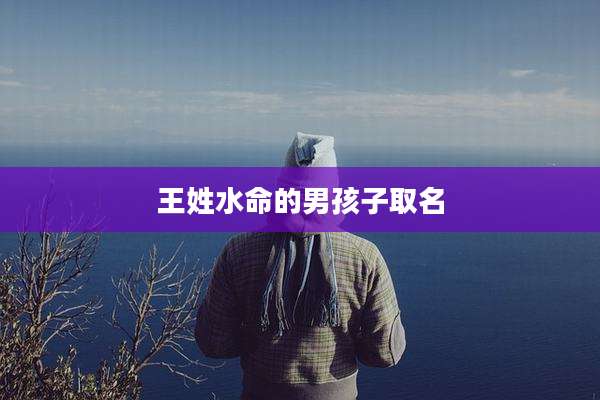 王姓水命的男孩子取名