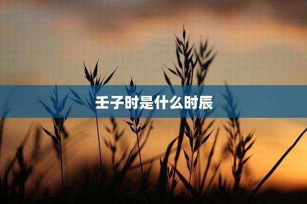 壬子时是什么时辰