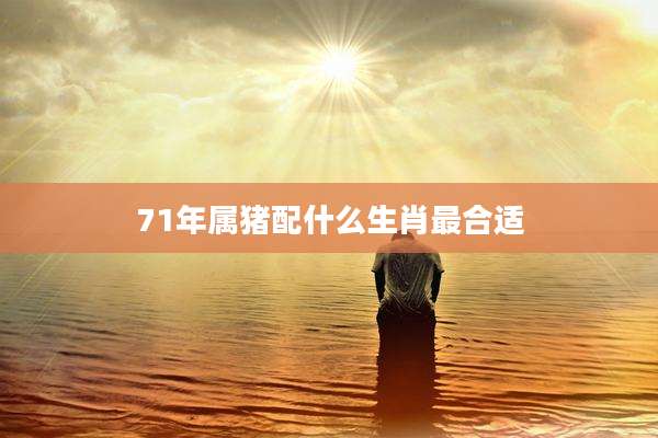 71年属猪配什么生肖最合适
