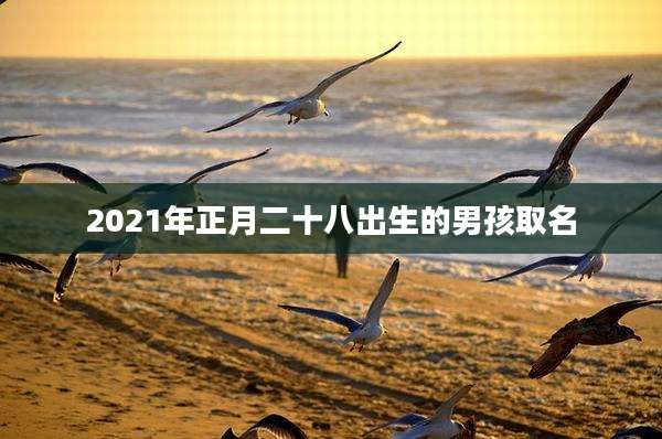 2021年正月二十八出生的男孩取名