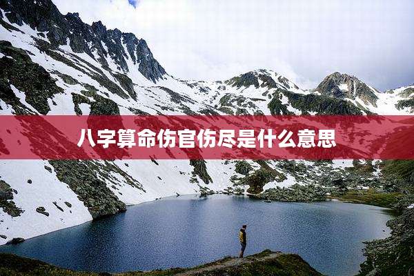 八字算命伤官伤尽是什么意思