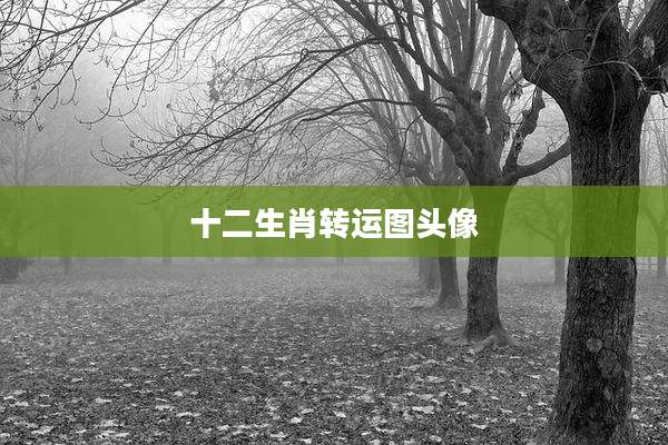 十二生肖转运图头像