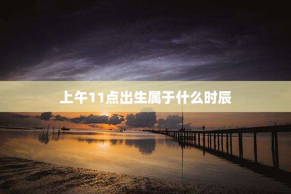 上午11点出生属于什么时辰