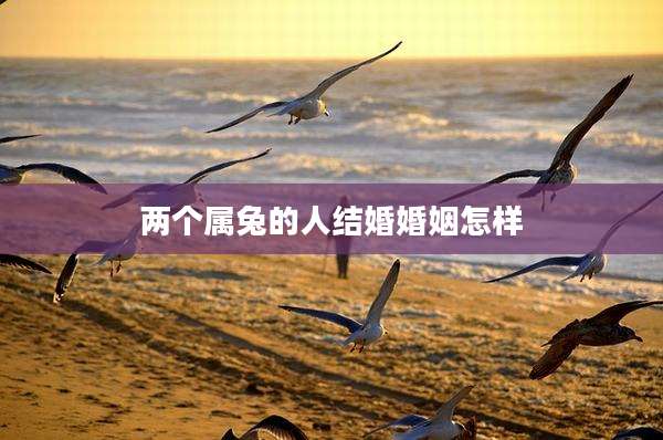 两个属兔的人结婚婚姻怎样