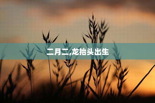 二月二,龙抬头出生