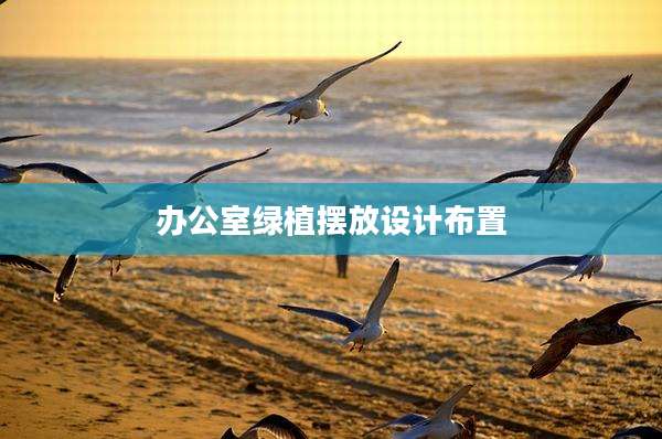 办公室绿植摆放设计布置