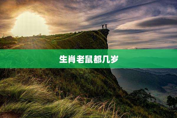 生肖老鼠都几岁