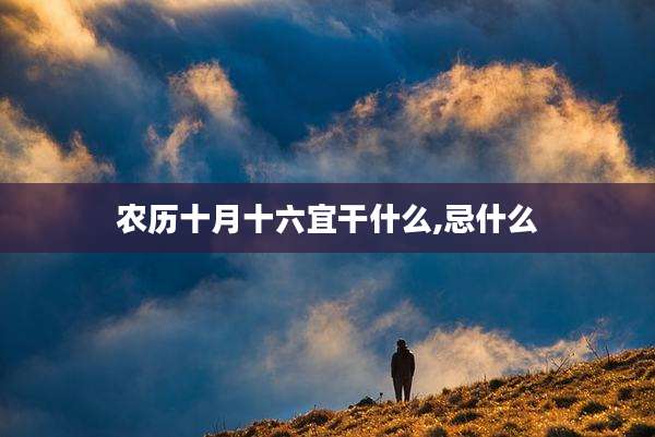 农历十月十六宜干什么,忌什么
