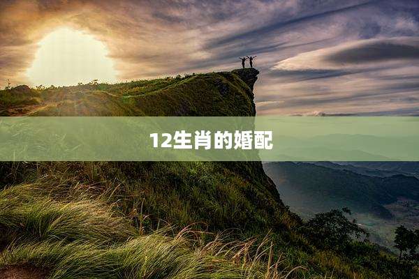 12生肖的婚配