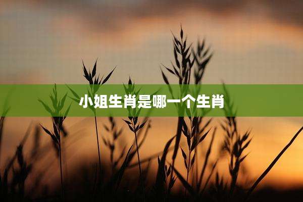 小姐生肖是哪一个生肖