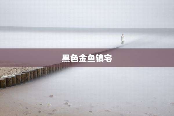 黑色金鱼镇宅
