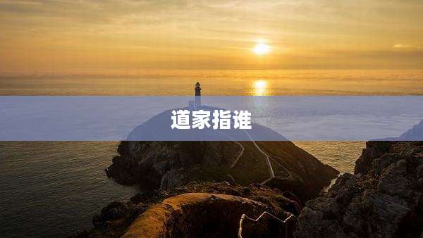 道家指谁