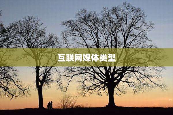 互联网媒体类型