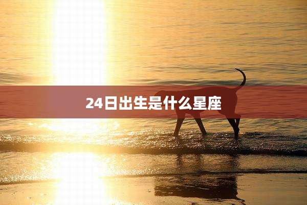 24日出生是什么星座