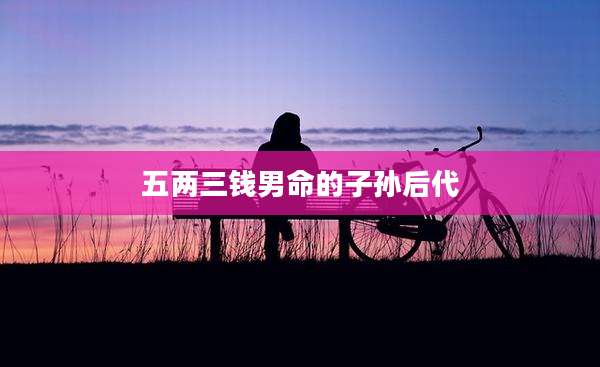 五两三钱男命的子孙后代