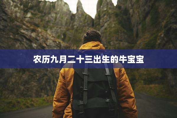 农历九月二十三出生的牛宝宝