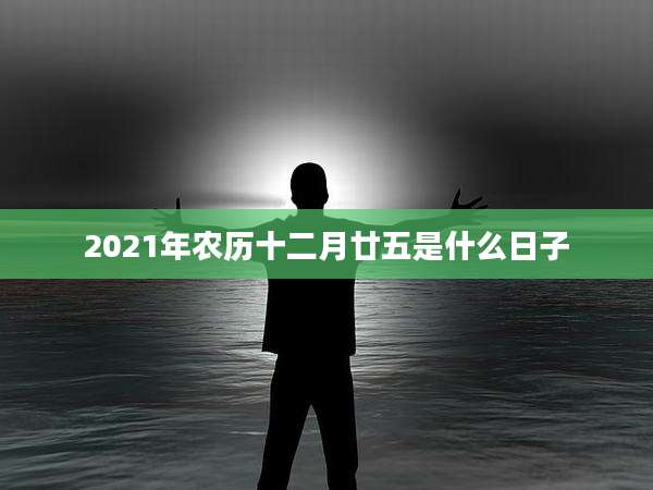 2021年农历十二月廿五是什么日子