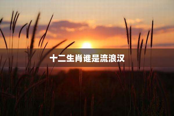 十二生肖谁是流浪汉