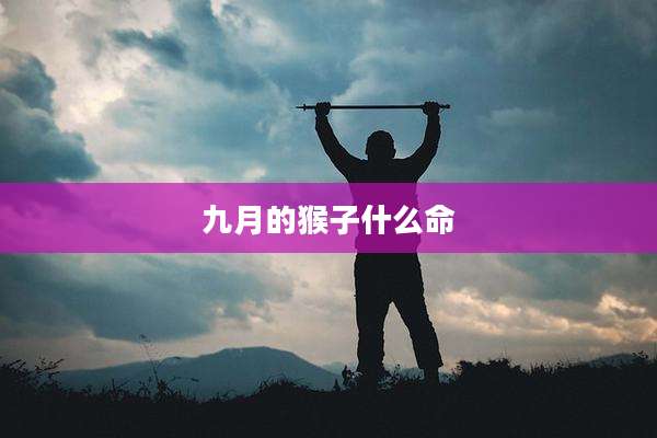 九月的猴子什么命