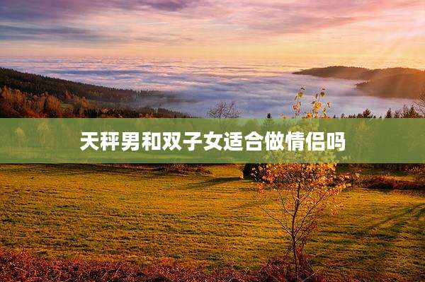 天秤男和双子女适合做情侣吗