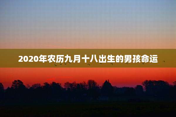 2020年农历九月十八出生的男孩命运