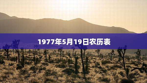 1977年5月19日农历表