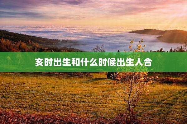 亥时出生和什么时候出生人合